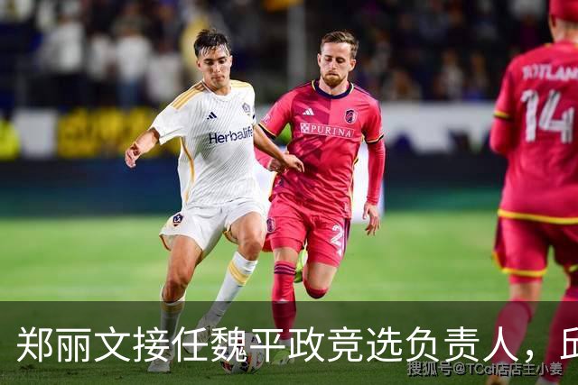 郑丽文接任魏平政竞选负责人，邱建富质疑其对彰化的贡献